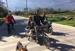 流浪者奋起反扑扳平，暂停温泉瓦拉多利德